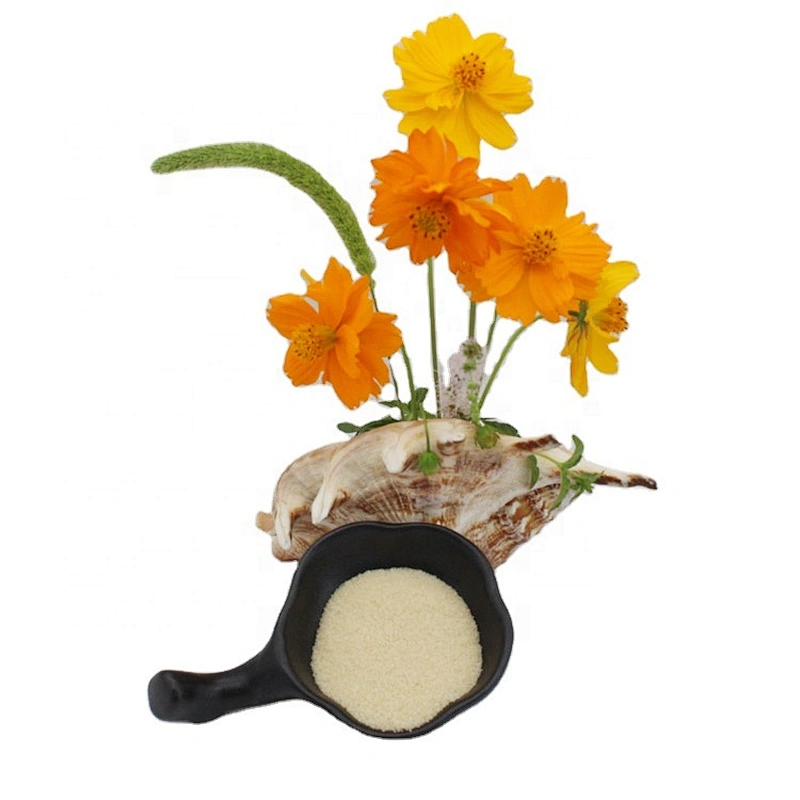 Good Price Well Known Brand Granule Gelatin for Food Additive Wholesale Price Halal Gelatin